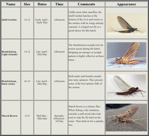 Bow River Hatch Chart