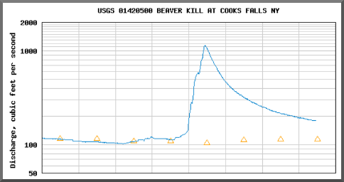 USGS flow rates for the Beaverkill