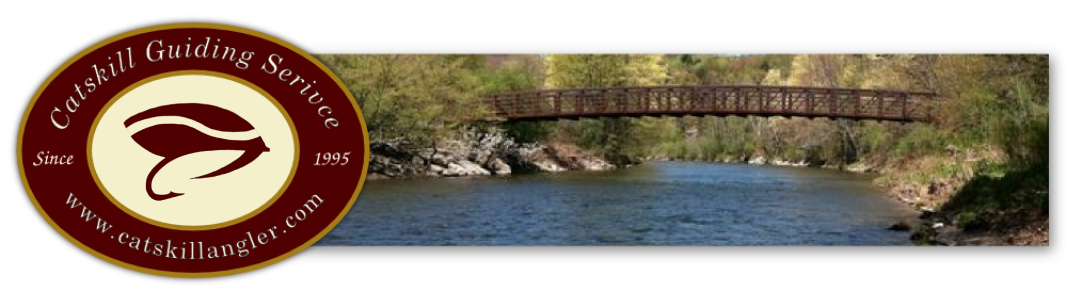 logo and picture of a curved bridge over the Willowemoc river and link home