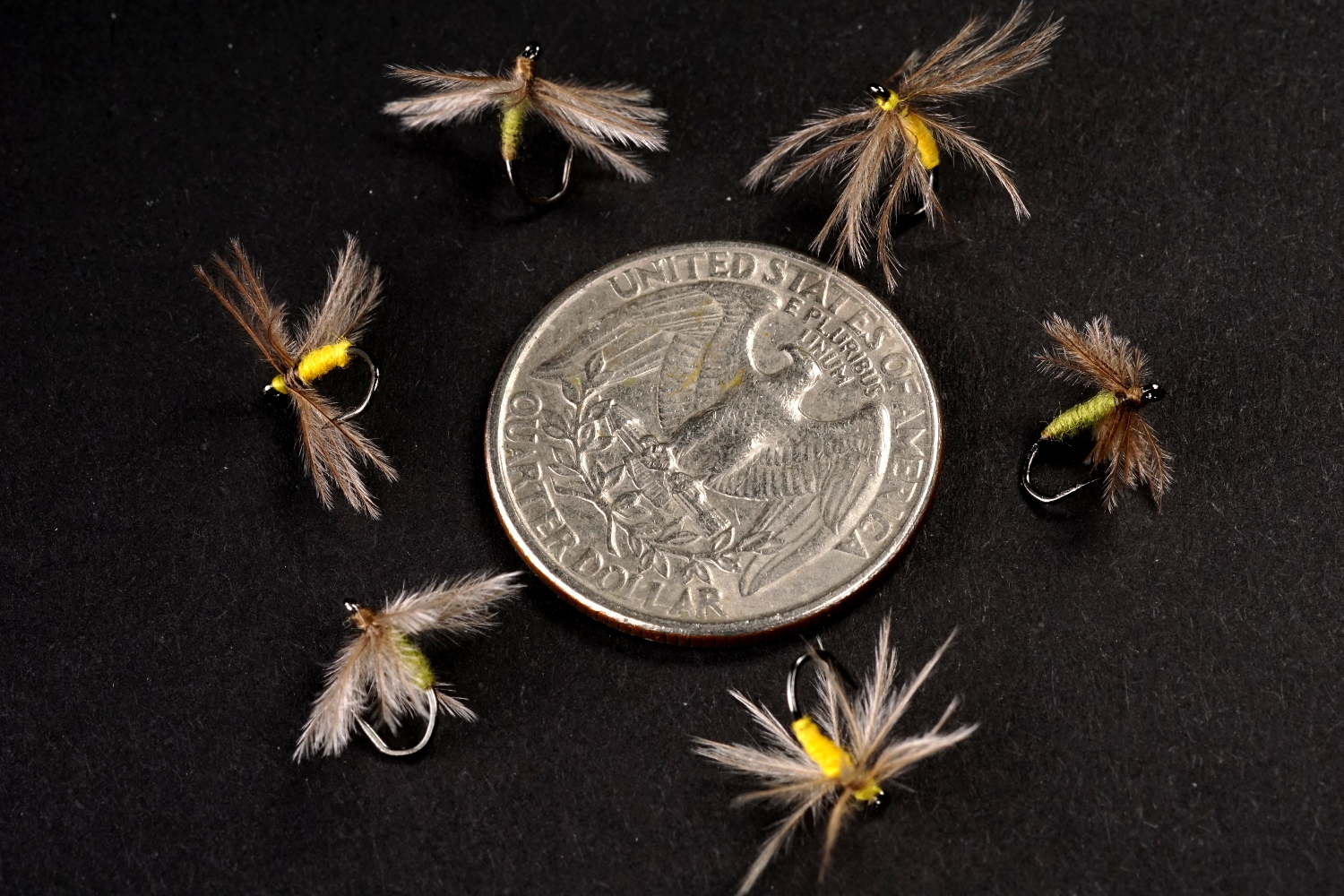 small emu flies